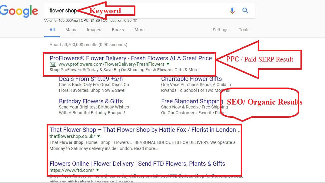 SERPs কি?